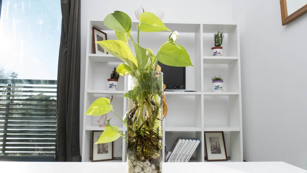 Apartamento La Calahorra Κόρδοβα Εξωτερικό φωτογραφία