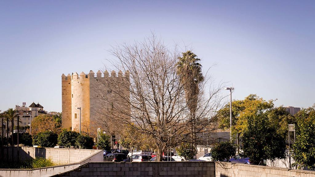 Apartamento La Calahorra Κόρδοβα Εξωτερικό φωτογραφία